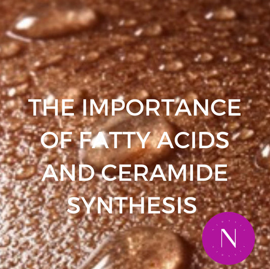 The Importance of Fatty Acids and Ceramide Synthesis